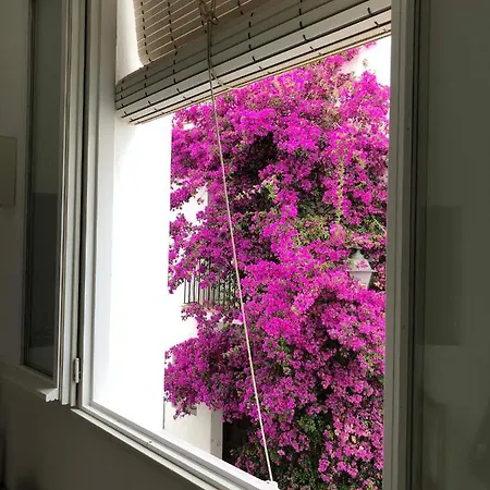 Centric Townhouse - Casa Voltes - Vakantiehuis *